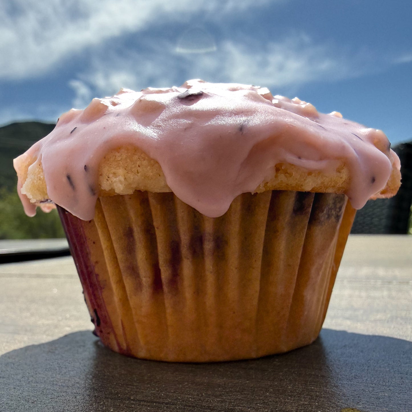 Two Dozen Mini Muffins (SAN DIEGO RESIDENTS ONLY)