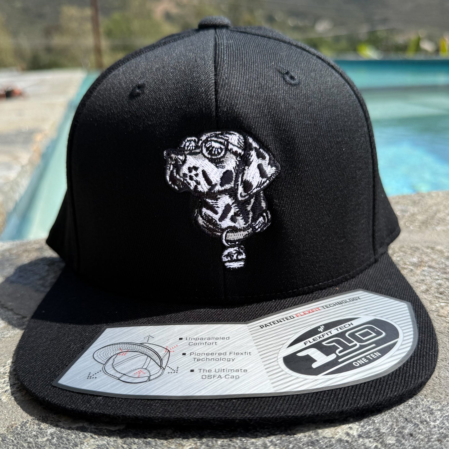 Bradley’s House Collaboration “B&W Lou Dog” Hat